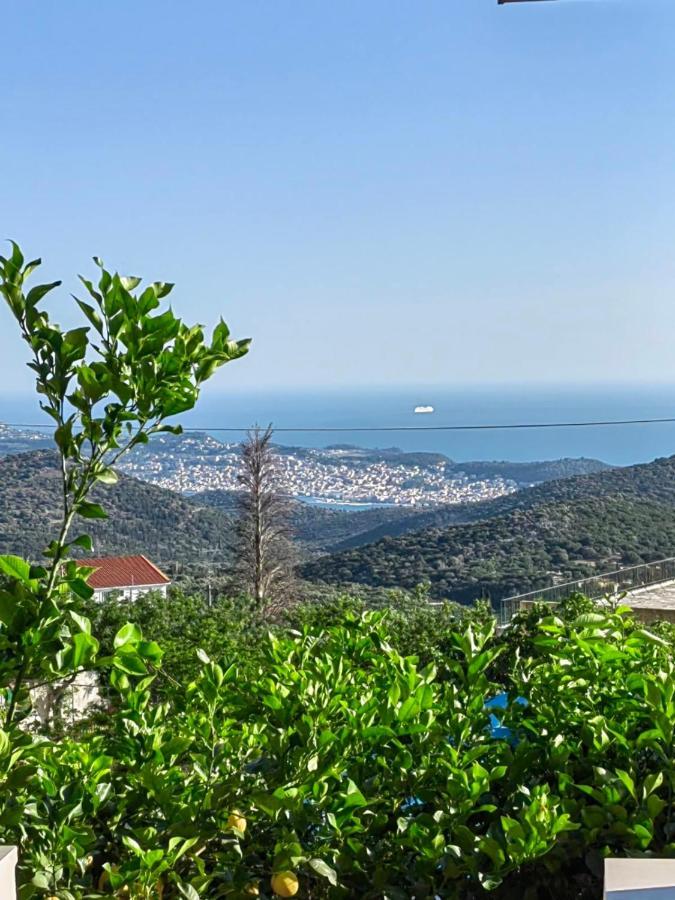 V&V Boutique Villa Αργοστόλι Εξωτερικό φωτογραφία